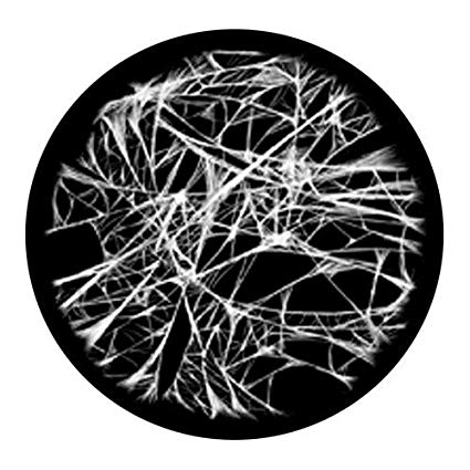 Gobo Insert