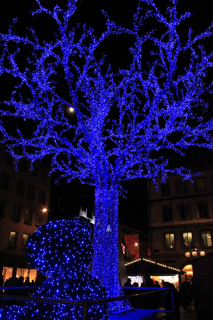 tree-1188903_1280